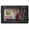 Video Assist 5