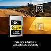 160GB Professional GOLD Series CFexpress Type A Memory Card Thumbnail 3