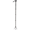 KingPod 4-Section Tripod with FS36PRO Head (Carbon Fiber) Thumbnail 4