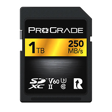 1TB UHS-II SDXC V60 250R Gold Memory Card Image 0