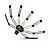 Redback 36