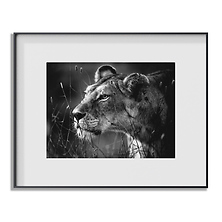 50 x 40 in. Maxine Masterpiece Digital Art Frame Image 0
