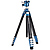 CyanBird 2 Aluminum Tripod with G36PT Inverted Ball Head