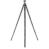 CyanBird 2 Aluminum Tripod with G36PT Inverted Ball Head Thumbnail 1