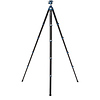 CyanBird 2 Carbon Fiber Tripod with G36PT Inverted Ball Head Thumbnail 1