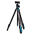 BlackBird Carbon Fiber Tripod with N00P Ball Head