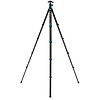 BlackBird Carbon Fiber Tripod with N00P Ball Head Thumbnail 2
