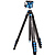 BlackBird Carbon Fiber Tripod with G36PT Inverted Ball Head