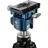 BlackBird Carbon Fiber Tripod with G36PT Inverted Ball Head Thumbnail 5