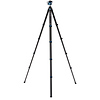 BlackBird Carbon Fiber Tripod with G36PT Inverted Ball Head Thumbnail 1