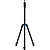 6.5 ft. Light Stand