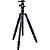 T-004X Aluminum Tripod with C-10S Ball Head (Black) - Pre-Owned