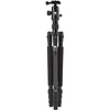 T-004X Aluminum Tripod with C-10S Ball Head (Black) - Pre-Owned Thumbnail 2