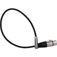 Mini-XLR to XLR Cable (16 in., Black) Image 0