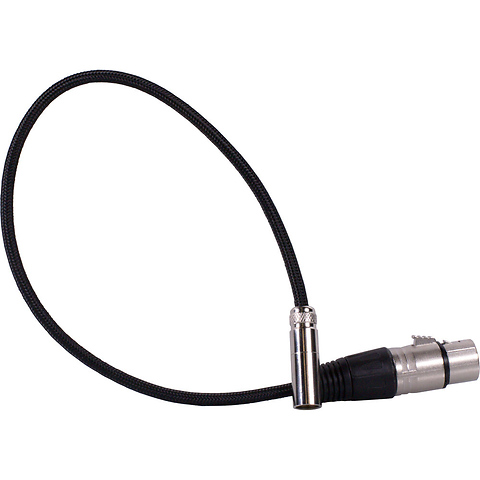 Mini-XLR to XLR Cable (16 in., Black) Image 0