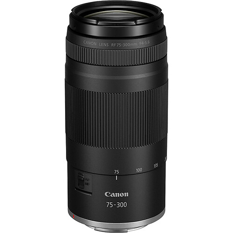 EOS R100 Mirrorless Digital Camera with 18-45mm Lens and 75-300mm Lens Image 7