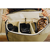 Everyday Backpack Zip (Kelp Green, 20L) Thumbnail 3