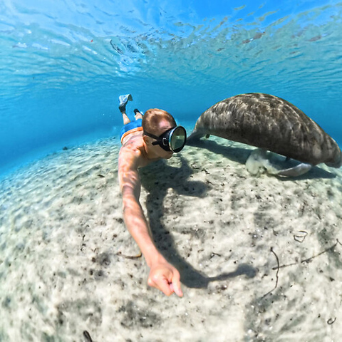 Invisible Dive Case for X5 Image 5