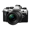 OM-5 Mark II Mirrorless Micro Four Thirds Digital Camera with 12-45mm f/4 PRO Lens (Silver) Thumbnail 3