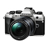 OM-5 Mark II Mirrorless Micro Four Thirds Digital Camera with 14-150mm f4.0-5.6 II Lens (Silver) Thumbnail 2