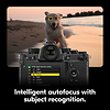 Z f Mirrorless Digital Camera Body (Silver & Sepia Brown) Thumbnail 8