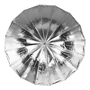 Deep Silver Umbrella (Extra Large, 65