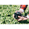 Alpha ZV-E10 Mirrorless Digital Camera with 16-50mm f/3.5-5.6 II Lens (Black) Thumbnail 10