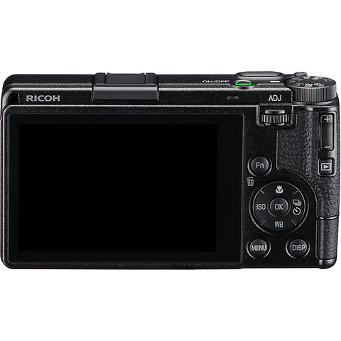 GR IV Digital Camera Image 9