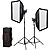 Litemons LA150Bi Bi-Color LED 2-Light Kit with Stands and Softboxes