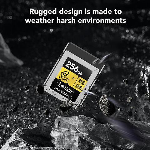 256GB Professional GOLD CFexpress 4.0 Type B Memory Card Image 4