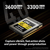 256GB Professional GOLD CFexpress 4.0 Type B Memory Card Thumbnail 1