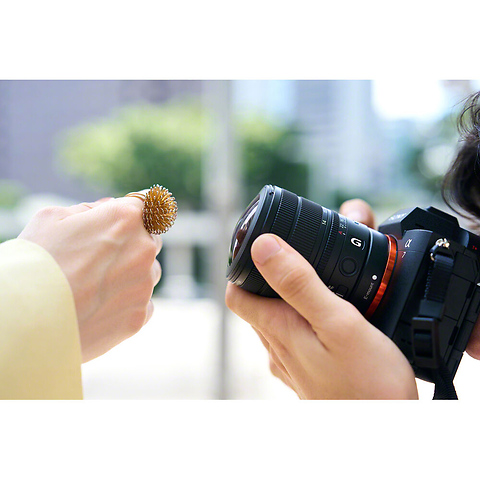 FE 8-14mm f/3.5 Fisheye G Lens Image 10