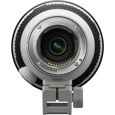 FE 600mm f/6.3 GM OSS Lens Image 6