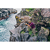 FE 600mm f/6.3 GM OSS Lens Thumbnail 11