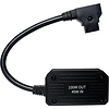 D-Tap to USB-C Quick-Charging Adapter & Power Supply (10 in.) Thumbnail 1