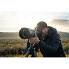 NIKKOR Z 120-300mm f/2.8 TC VR S Lens Thumbnail 8