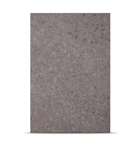 10 x 12' Masterpiece Muslin Backdrop - Light Gray Splattered Image 0