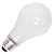 PH213 250W Enlarger Light Bulb