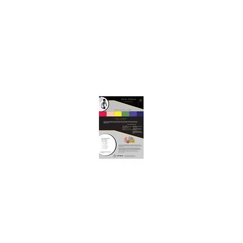 Color Effects Pack, 12 Sheet Pack of 12x10