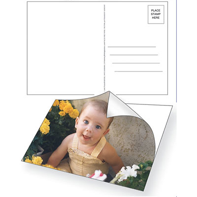 PhotoPOSTOS Postcards (12 Pack) Image 0