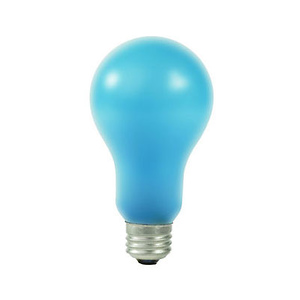EBW 500W Photoflood Light Bulb
